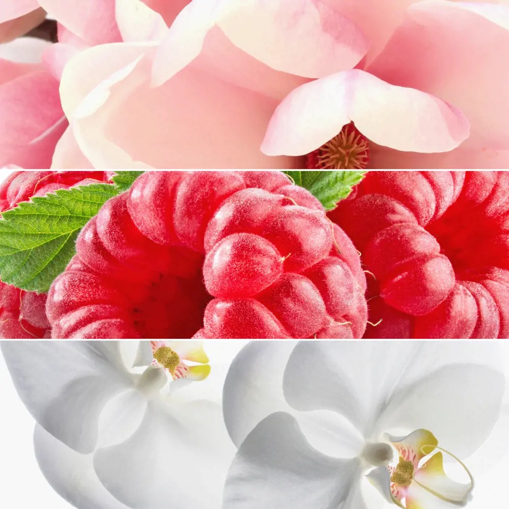 All or Nothing Parfum