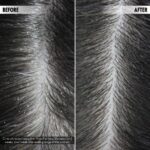 Anti-Flake Purifying Shampoo