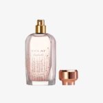 Eclat Festivité EdT