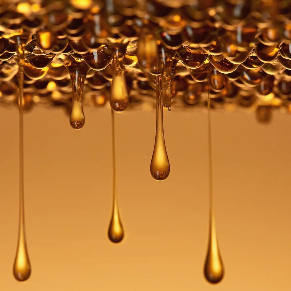 Enchanting Jasmine Extract Hand and Body Gel