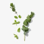 Everyday / Refreshing Foot Spray