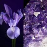 Firming Eye Cream Shop