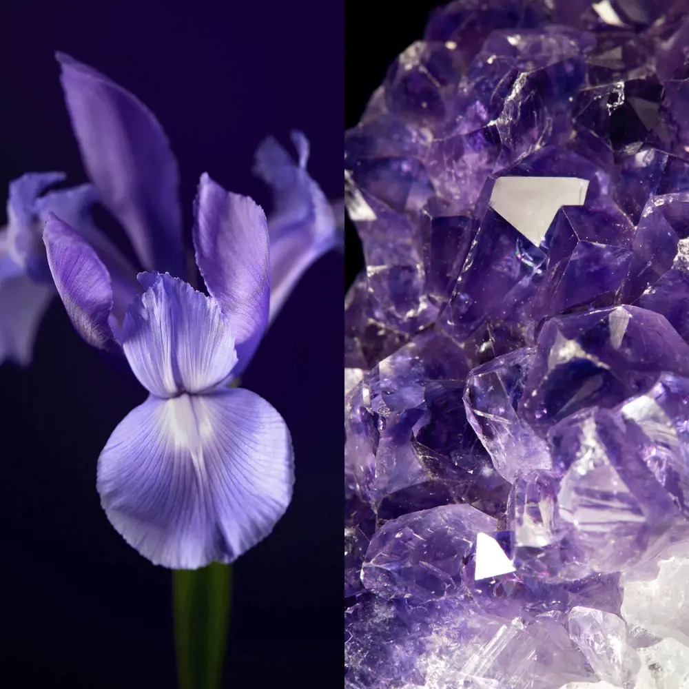 Firming Eye Cream Shop