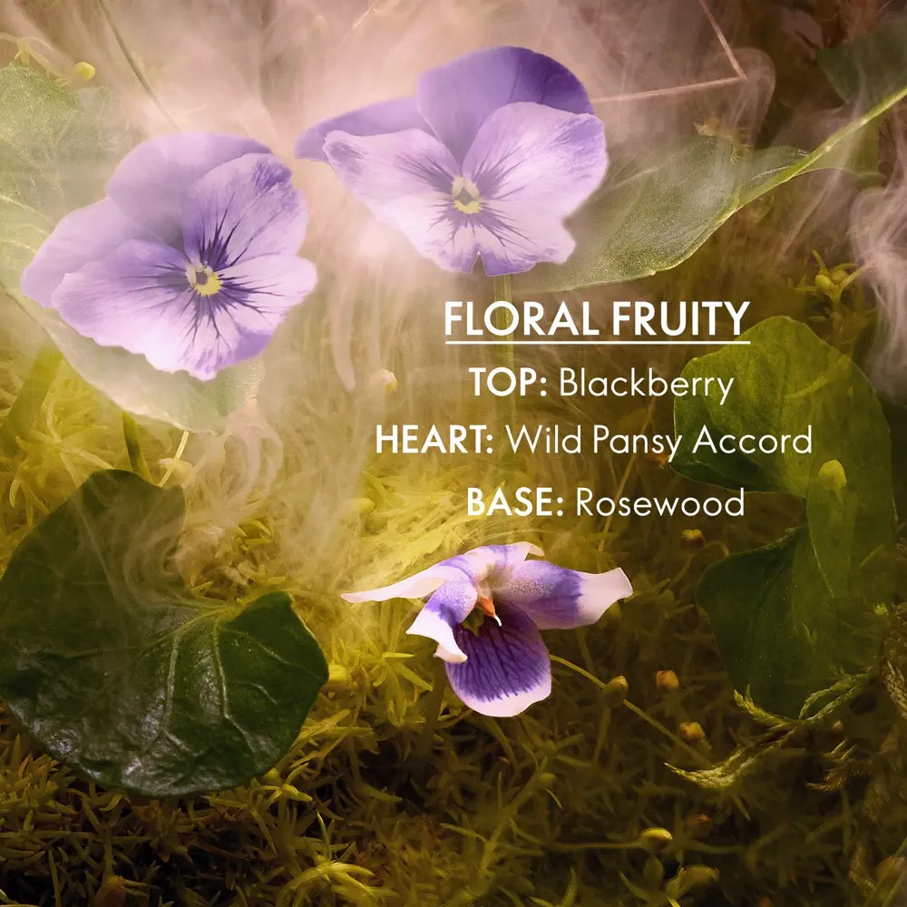 Midnight Magic Elvie Eau de Toilette