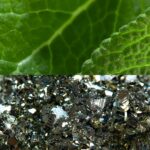 Sensitive Protect Roll-On Deodorant