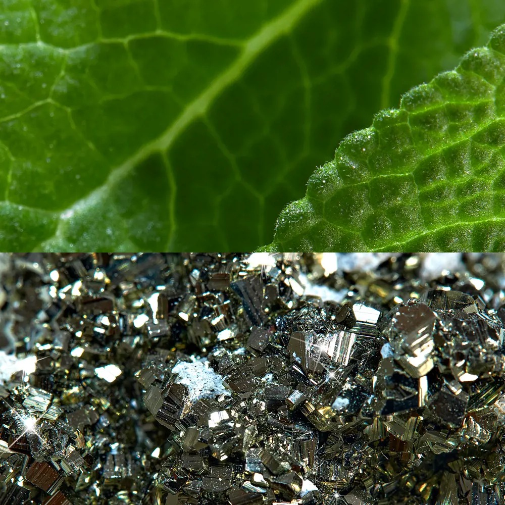 Sensitive Protect Roll-On Deodorant