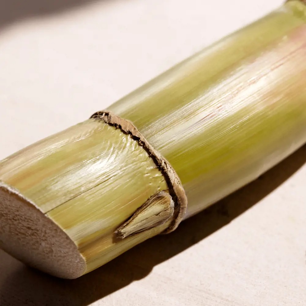 Venture Unlimited EdT