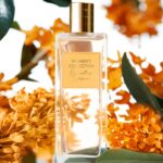 Women's Collection Osmanthus Infusion EdT