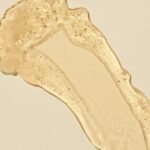 Love Nature Organic Mango Sparkling Gel Face Mask