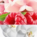 All or Nothing Perfume