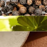 ECLAT Toujours Intensité EdT