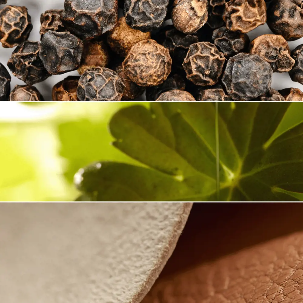 ECLAT Toujours Intensité EdT