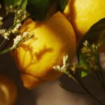 Essense&co. Lemon and Verbena Extract Hand and Body Gel