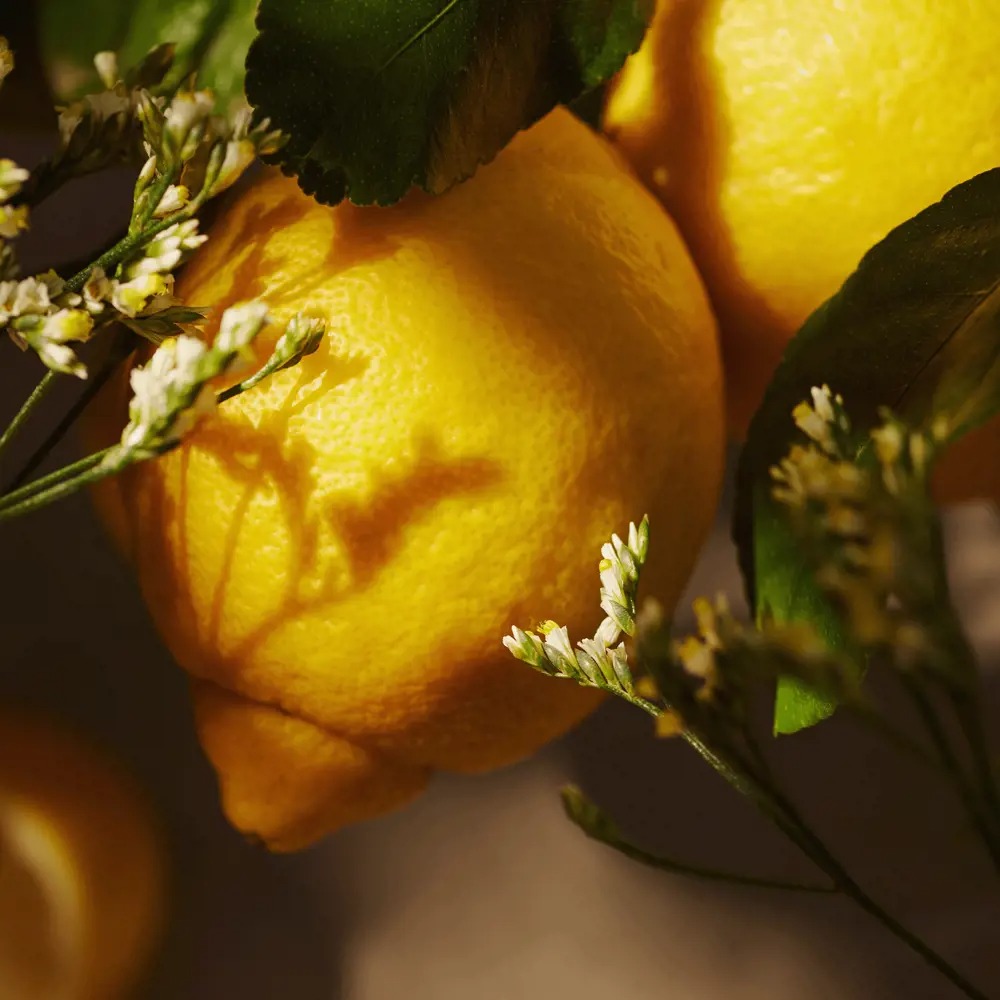 Essense&co. Lemon and Verbena Extract Hand and Body Gel