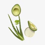 Feet Up Everyday Moisturizing Foot Cream All Night Long