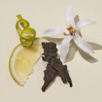 Giordani Gold Essenza Perfume - Bag Size