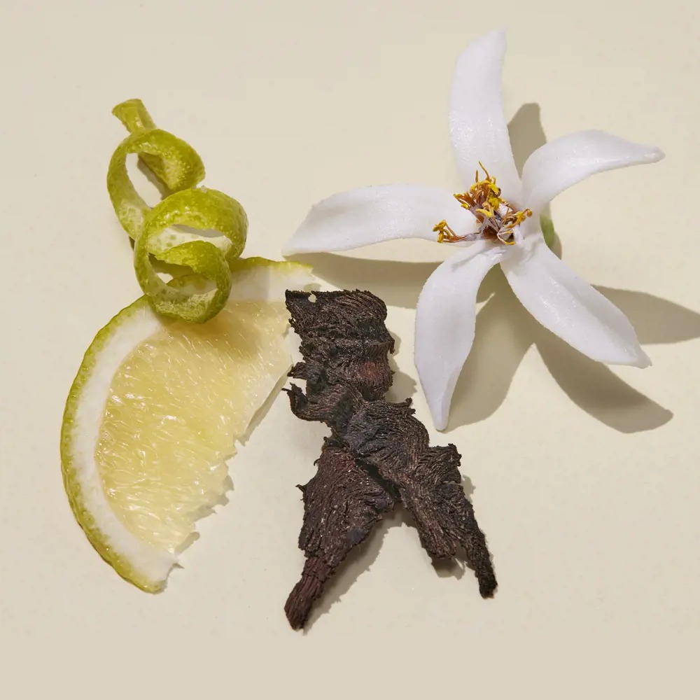 Giordani Gold Essenza Perfume - Bag Size