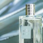 Men's Collection Agave Power EdT